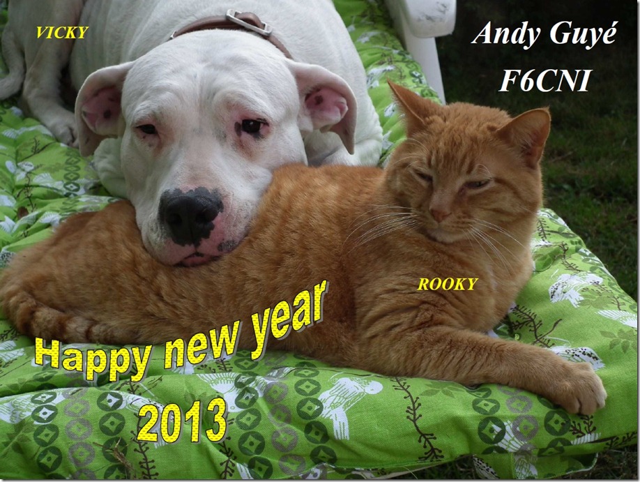 Andy Guyé - F6CNI - Happy new year 2013